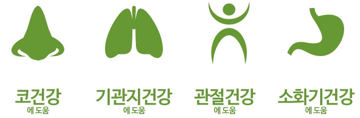 작두콩효과.jpg