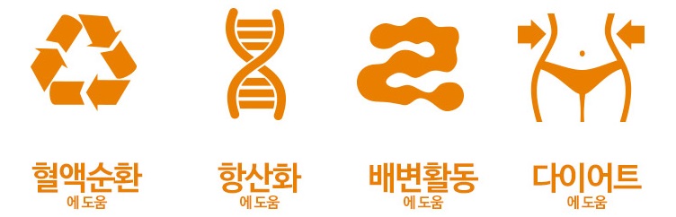 우엉 기대효과.jpg
